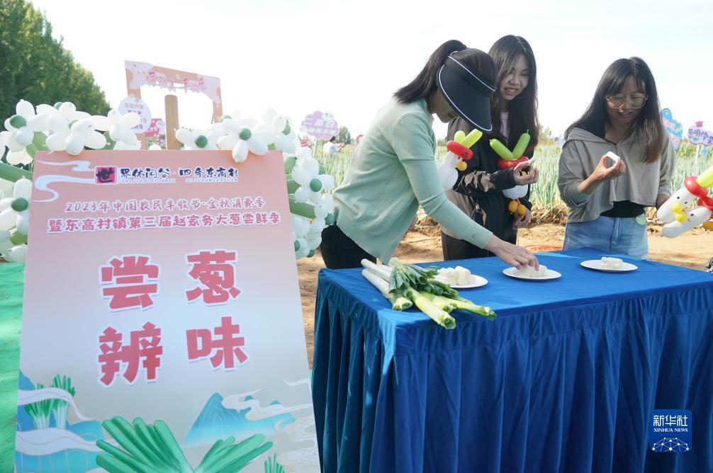 大三巴游戏官网